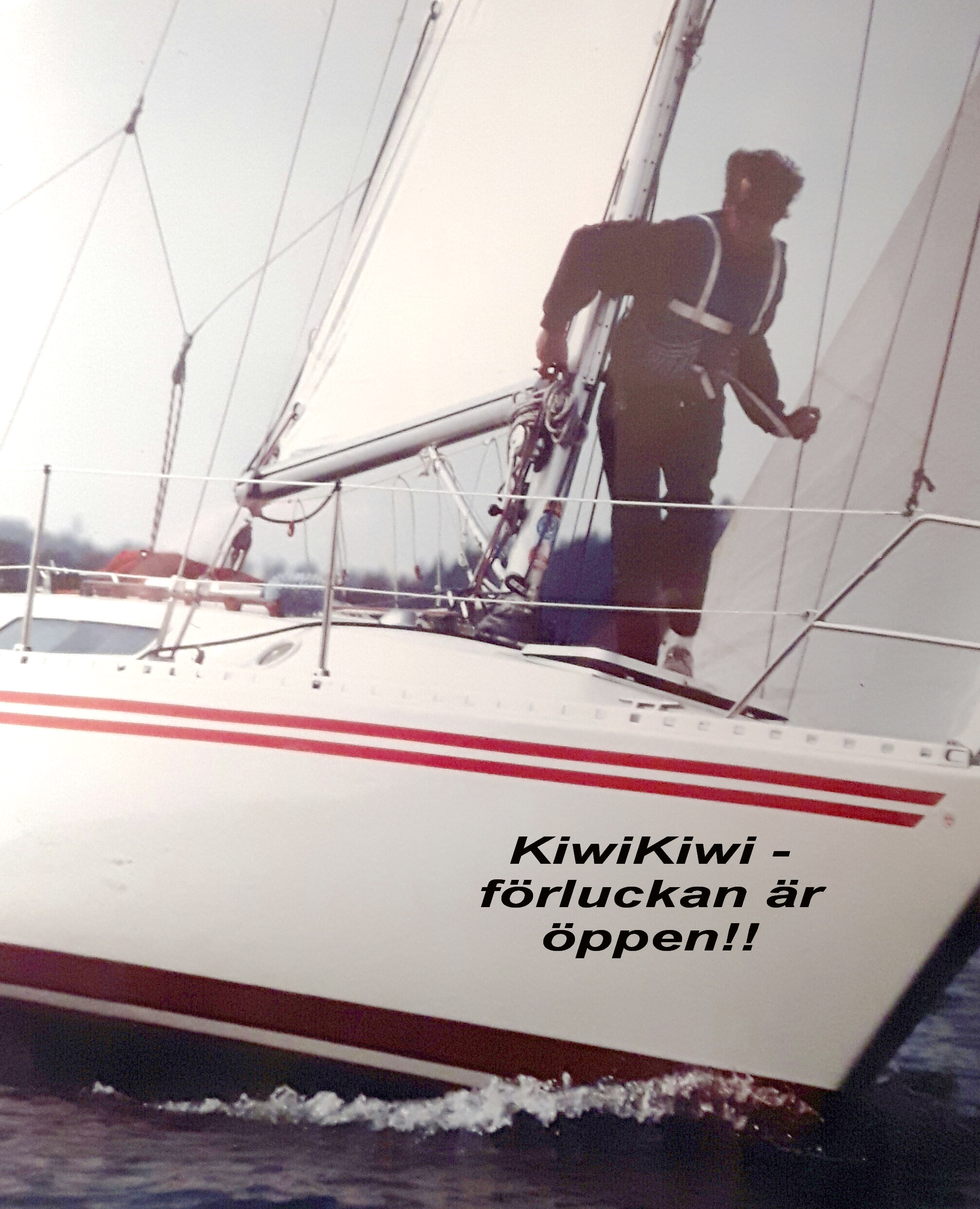 KiwiKiwi - förluckan är öppen - med text